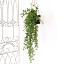 조아트 플라워 이미지