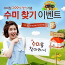 수미 네트워크