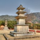 남사-29 Daum카페