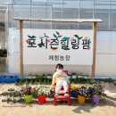 포시즌농장 이미지