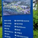 세종충남대학교병원 | 세종충남대학교병원 쉴낙원 장례식장, 어머니 가족장 후기
