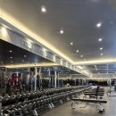 루트휘트니스 이미지