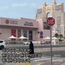 아부다비 투어후기; 한국말하는 현지 가이드와 함께한 갤럭시투어 추천