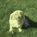 (주)아크 이미지