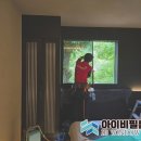 스테이더담 경주산내점 이미지