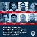 단순 교통위반도 ‘범법 불체자’로 공개 – 새로운 공포의 시대 이미지