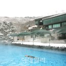 해독물가마