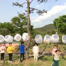 박물관 문화가 있는날 이미지