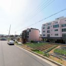 땅콩부동산공인중개사사무소 이미지