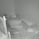 야니랜드 이미지