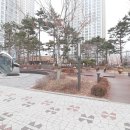 루나리움(031-793-8003)공인 이미지