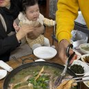 하장정육점 | D+181 ~ 184 이유식 잘 먹는 아기 (초기 이유식 소고기 큐브)