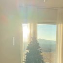 경주 원앤온리풀빌라 펜션 이미지