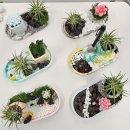 상리작은도서관 | 힐링 프로그램 │ 명장도서관 원예 출강 ‘마음정원 힐링 아틀리에’ 워터클레이 모스 트레이 수업 후기