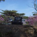 돈산온천주유소 이미지