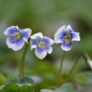 글쓰기의 발견 이미지