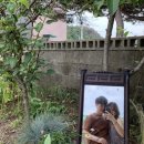 테일민박 이미지