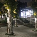 사랑의묘약 | 1호,2호와 함께한 올만의 문화생활! 가족코믹 오페라 사랑의 묘약 후기