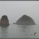 장터수산 - 안산시 상록구 정재로3길 5 | 장터수산