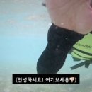 콩블리마켓