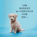 금창주유소 이미지
