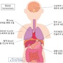 사운드바디짐 네이버블로그