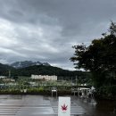 단풍도넛