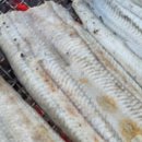 청산민물장어 이미지