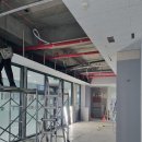 수원오토컬렉션 이미지