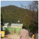 스마트애견 이미지