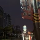 이즈해어 | 동경소녀가 되... 여자 혼자 도쿄여행