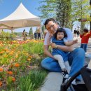 대전목장 이미지