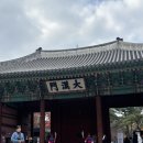 청화식당 | 광화문 직장인 점심 맛집 대만 음식 청화우육도삭면 리뷰