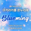 처음 가보았던 연세대 축제 2025 아카라카 라인업 후기