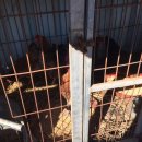 동현농장2 이미지