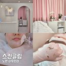 수정피부관리샵 | 노원피부관리 추천 스킨글림 세라링 피부관리샵 후기