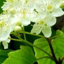 참솔에너지 이미지