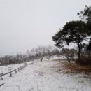 여백