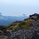 제주의료원 이미지