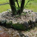 나무향기 차향기 이미지