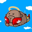 WS복싱클럽 원당점 이미지