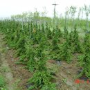 경산농장 이미지