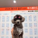 2026 메가주 시즌1 후기 #3일 출석 #오픈런 #이벤트