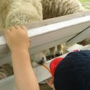 동현목장 이미지