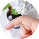 한국한센복지협회울산경남지부마산부설의원 네이버블로그