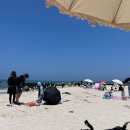 서쪽아이 이미지