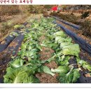 알뜰 농장 이미지