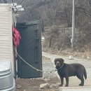OIL마트365중동점 | [청도] 에이스캠프/청도카라반/청도애견동반캠핑장/청도오토캠핑장/에이스캠프 A4 사이트 후기