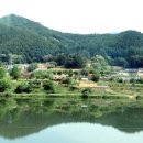 초록산등산로 Daum카페