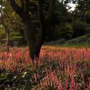 민속마을농수산